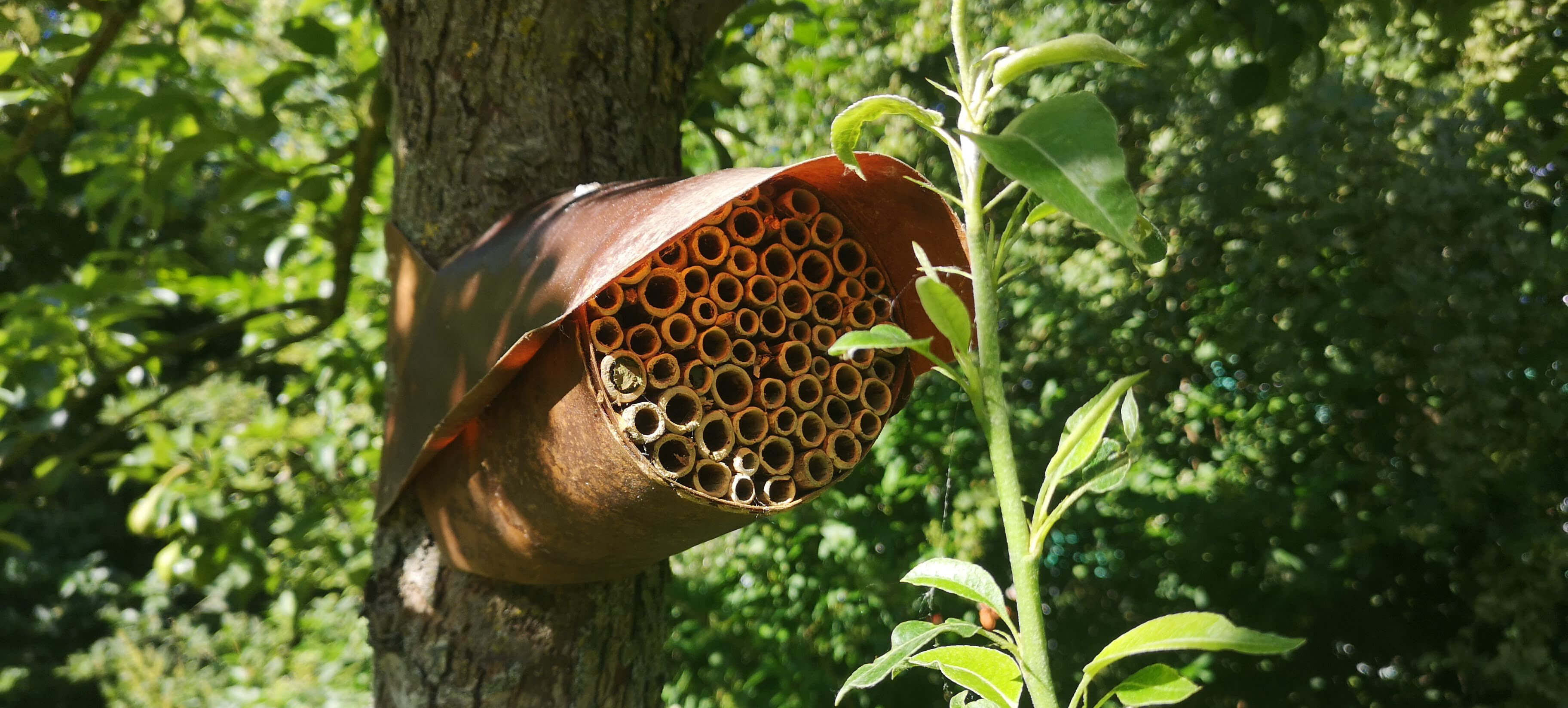 Bee hotel