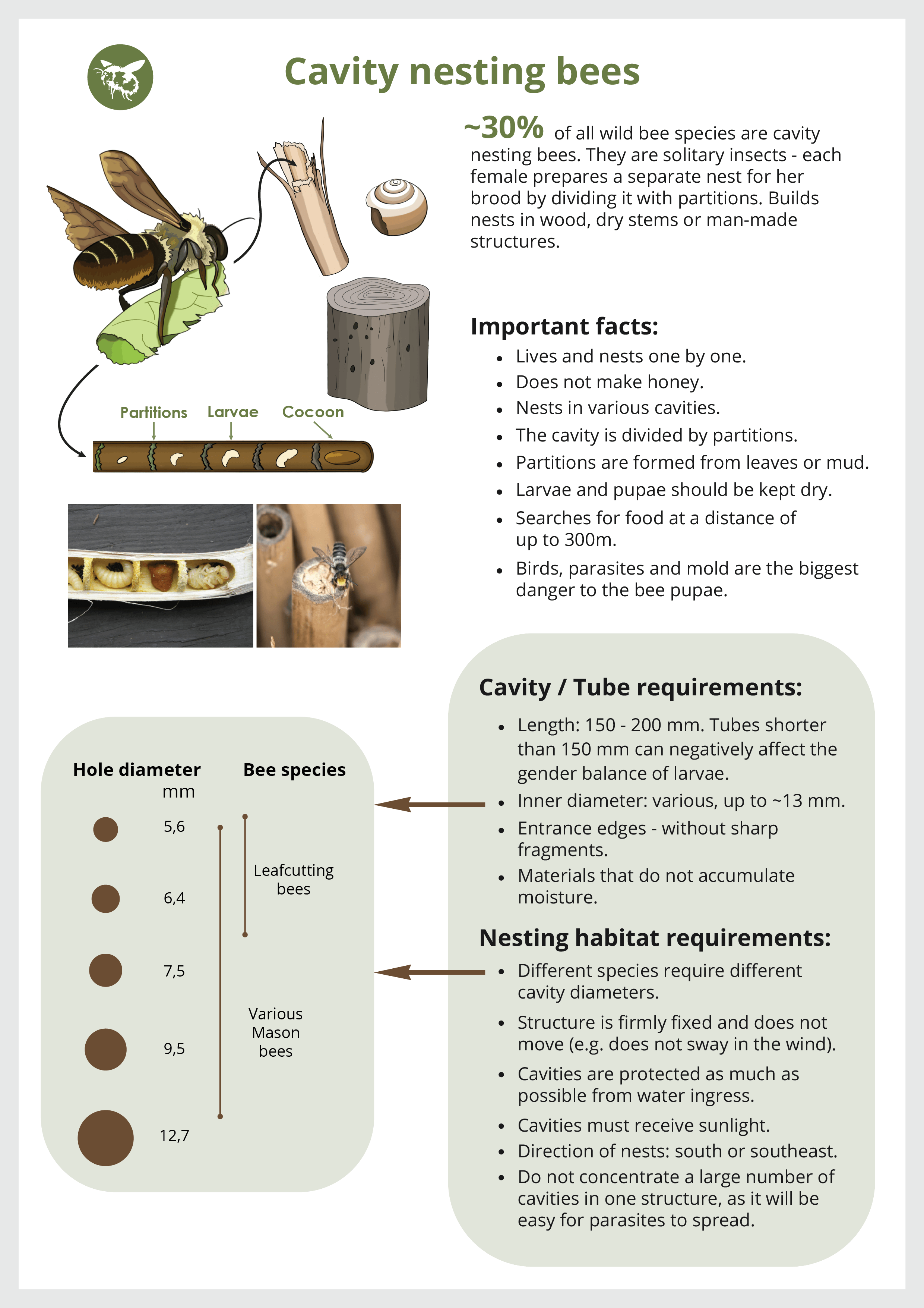 Memo for the participants about cavity nesting bees