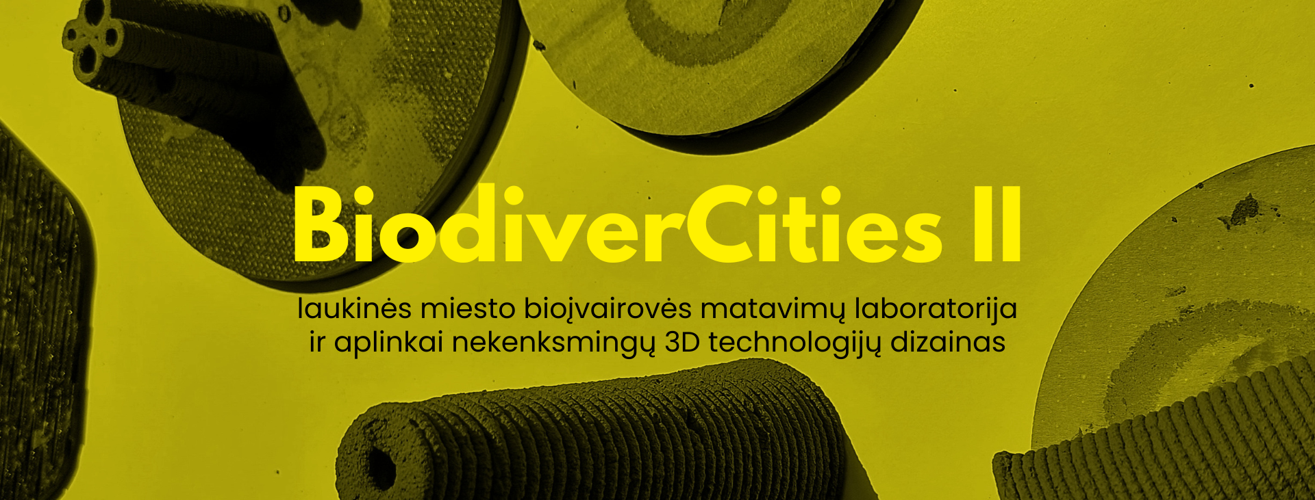 BiodiverCities II