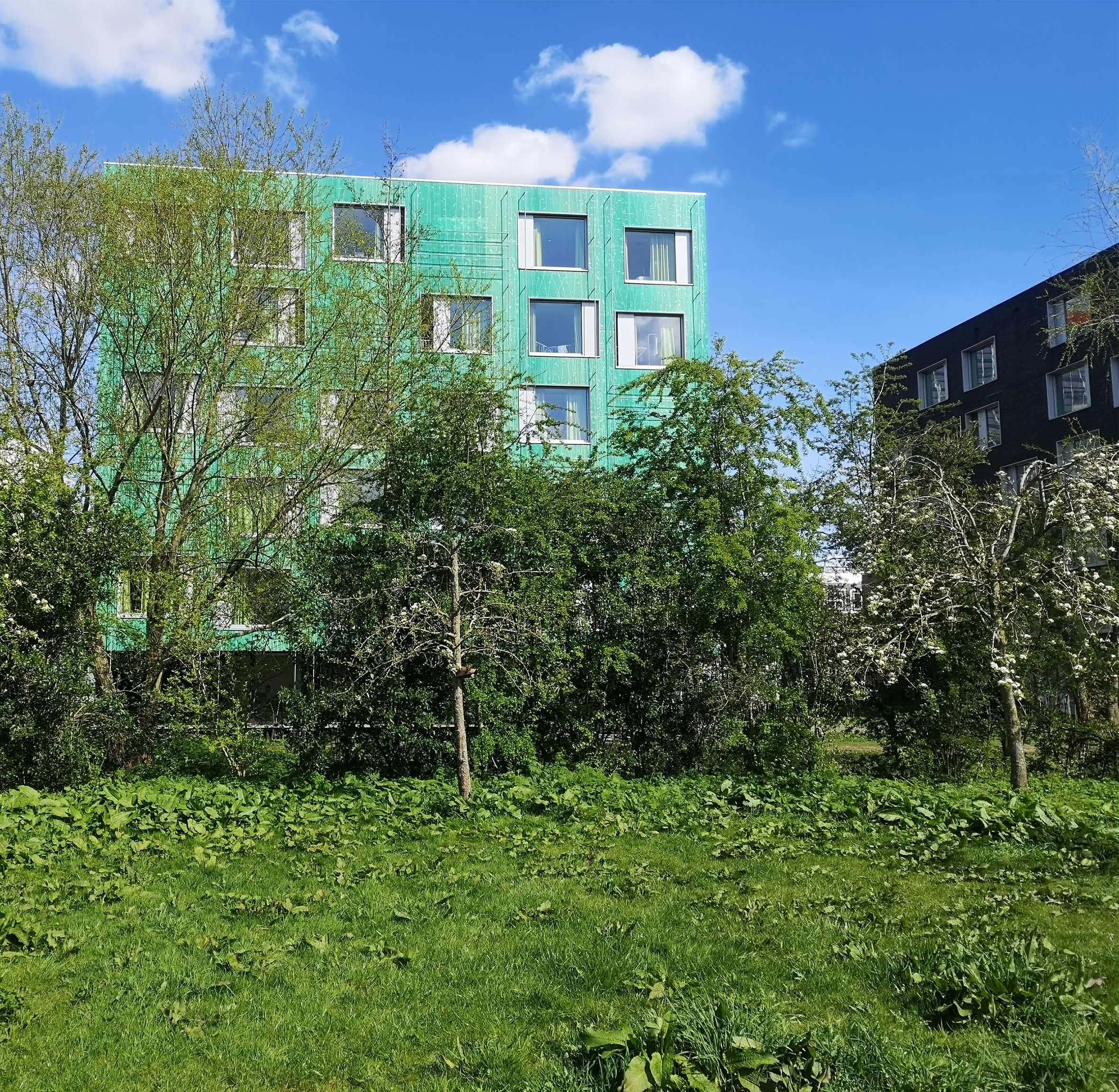 The location of one of the hotels. Delft, The Netherlands