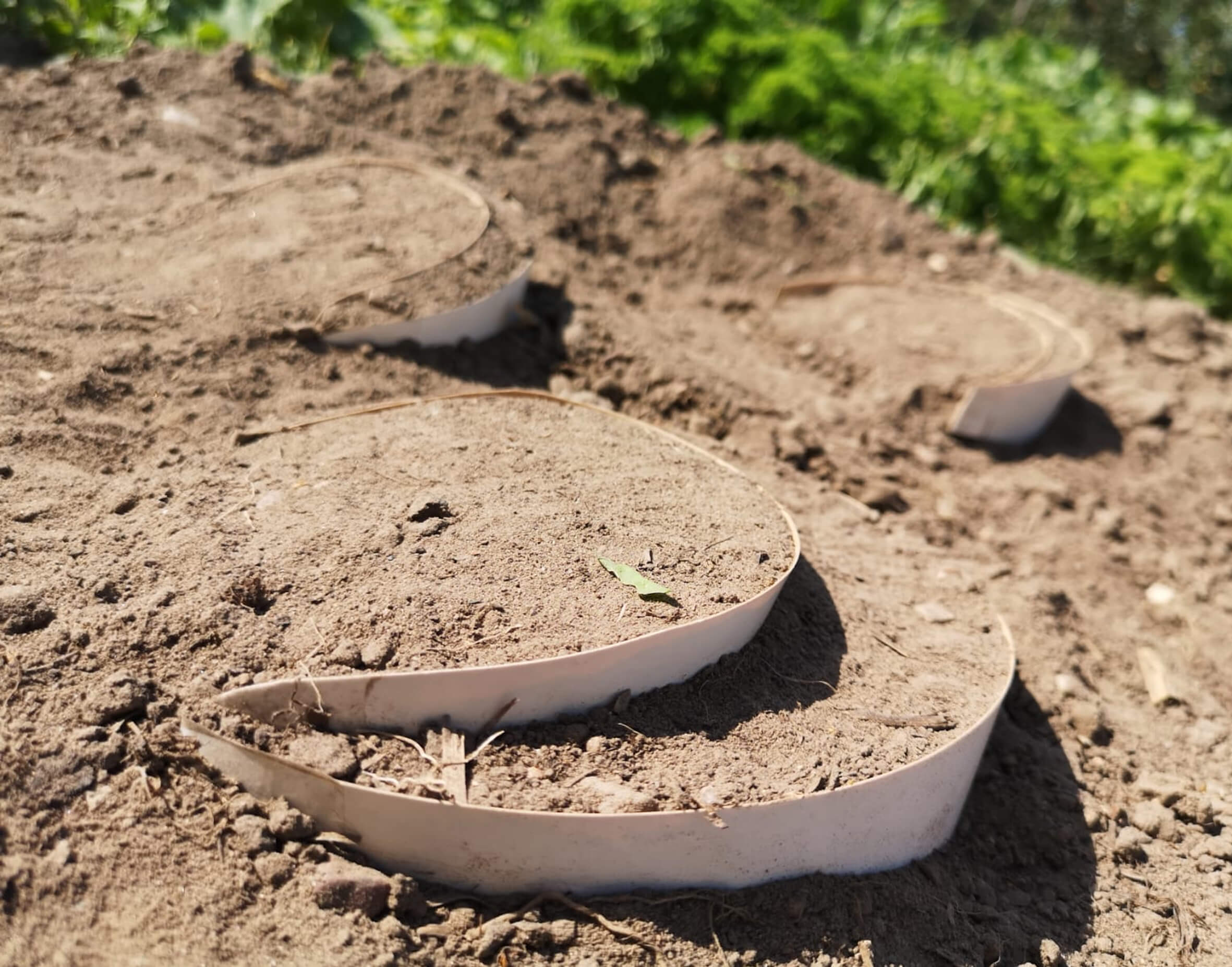 Model of the Ground element.